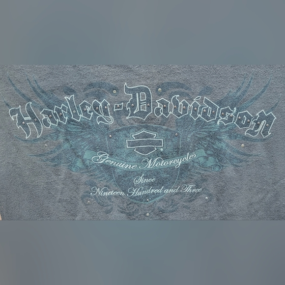 Harley-Davidson Gray and Blue Graphic Tee - Picture 2 of 8